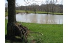 Property photo 22 - 137 Acres in 2 Tracts - 64 Tillable Acres, Potential Building Sites, Hunting